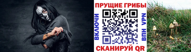Галлюциногенные грибы прущие грибы  Купить где  Полесск 